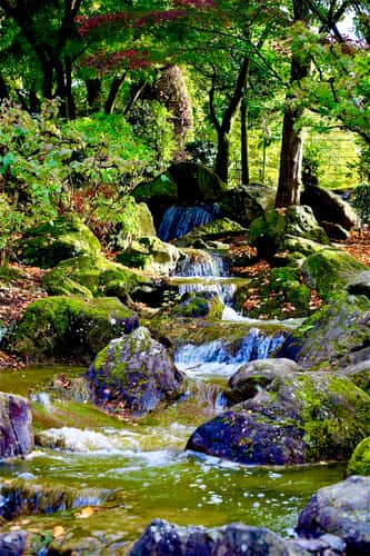 Japanese Garden, Bonn
