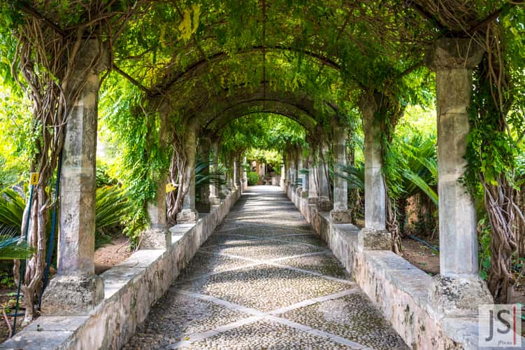 Jardines de Alfabia