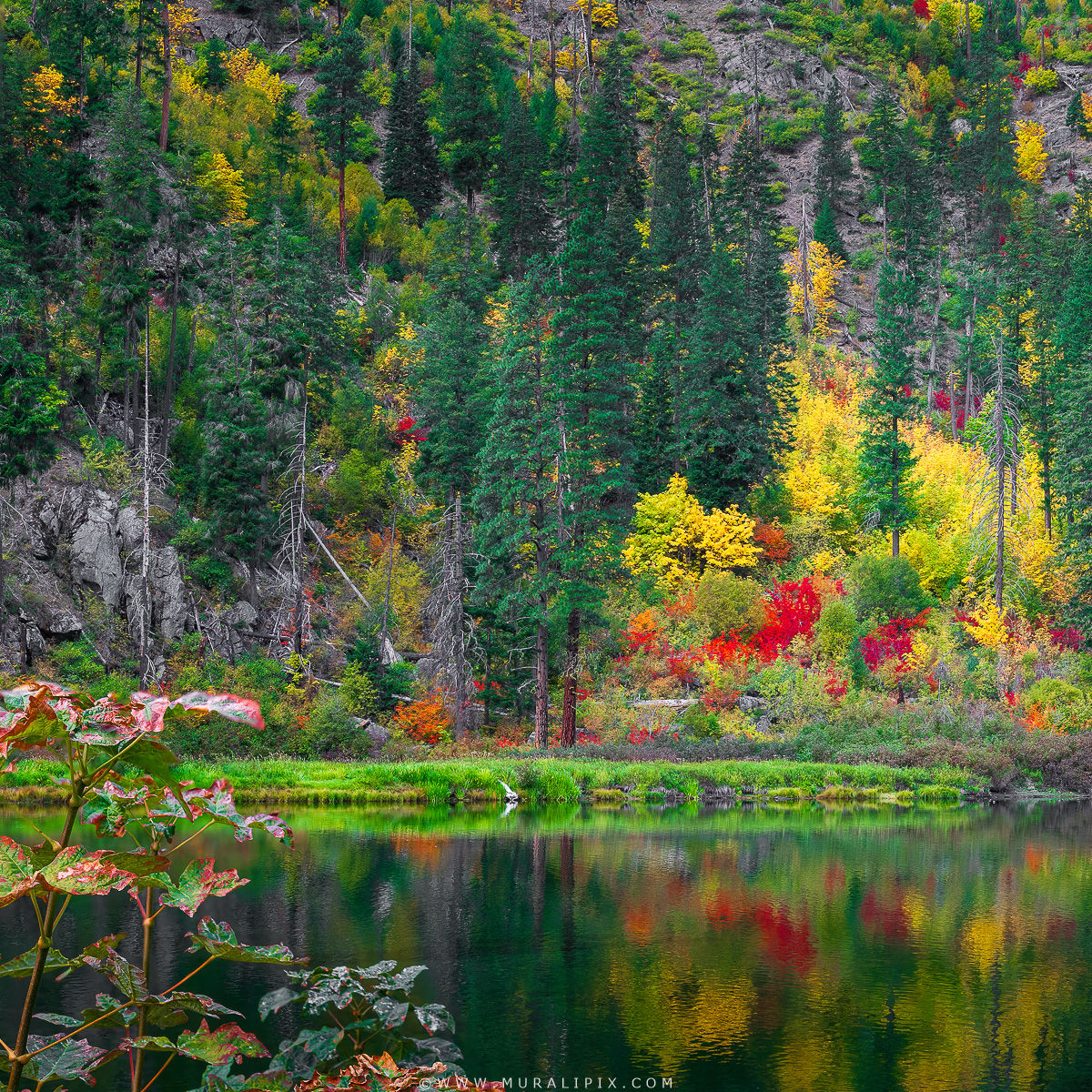 Jolanda Lake, USA