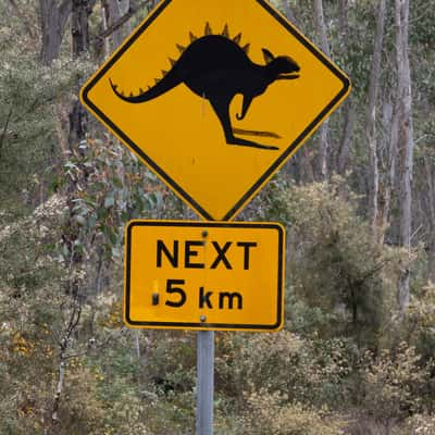 Jurassic Park Entry, Australia