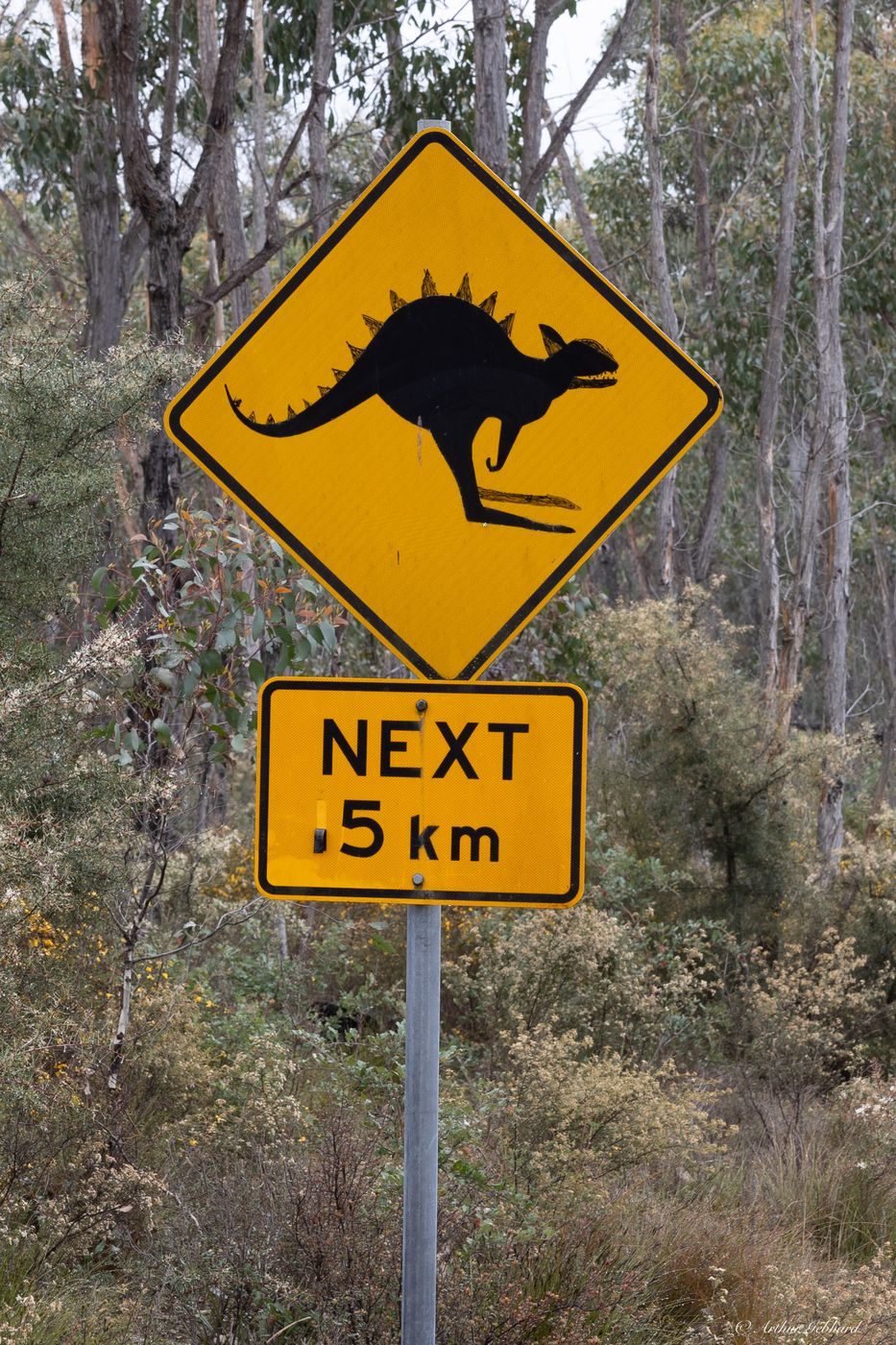 Jurassic Park Entry, Australia