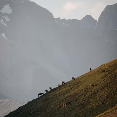 Kalmak-Ashuu-Pass-Mid Point, Naryn Region, Kyrgyz Republic