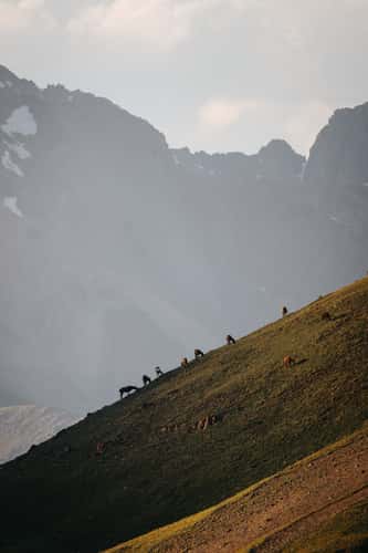 Kalmak-Ashuu-Pass-Mid Point, Naryn Region