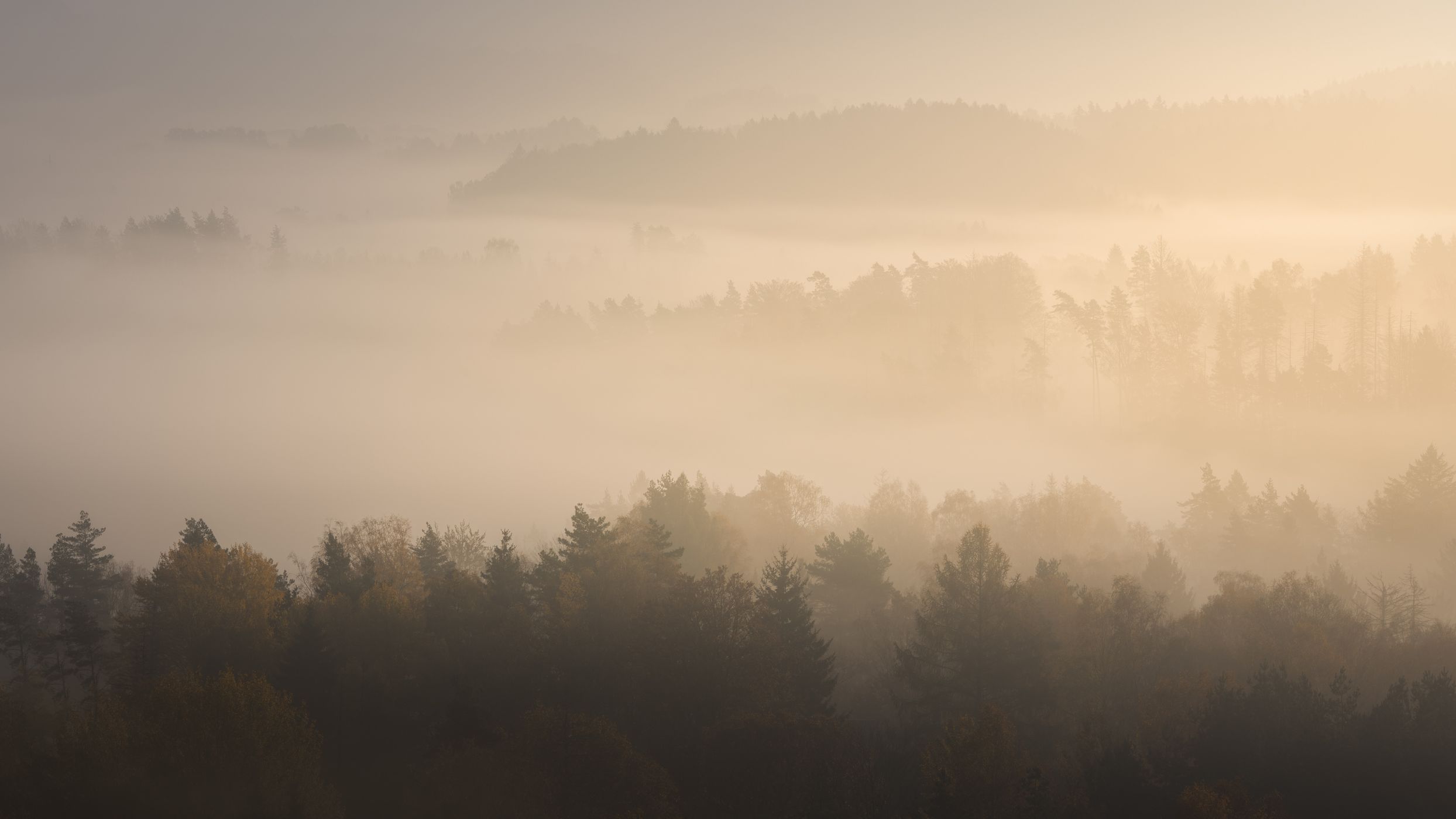 Křížový vrch, Bohemian Switzerland, Czech Republic, Czech Republic