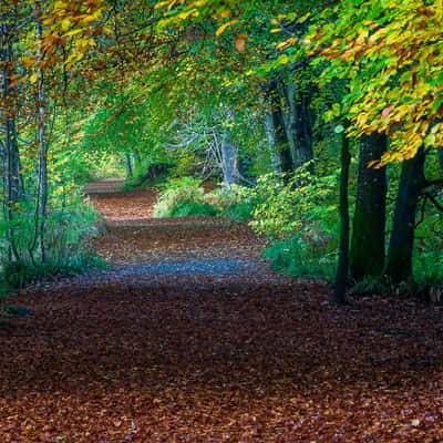 Lady Mary's Walk, United Kingdom