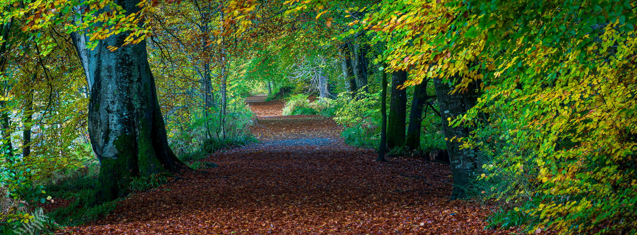 Lady Mary's Walk, United Kingdom