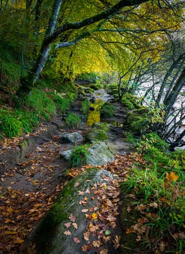 Lady Mary's Walk