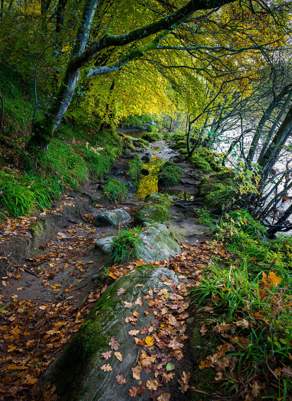 Lady Mary's Walk, United Kingdom