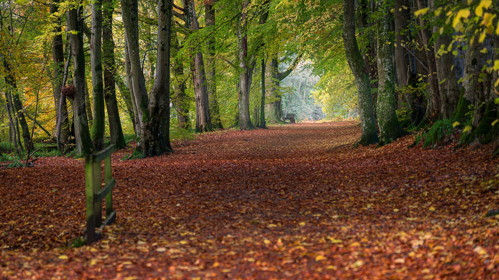 Lady Mary's Walk, United Kingdom
