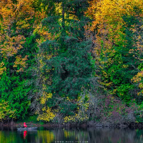 Lake Fenwick Park