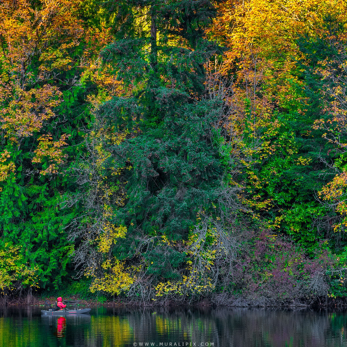 Lake Fenwick Park, USA