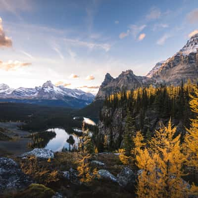 Lake O´hara Alpine Plateau, Canada