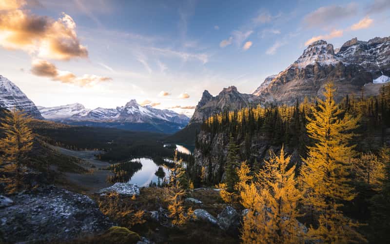 Lake O´hara Alpine Plateau