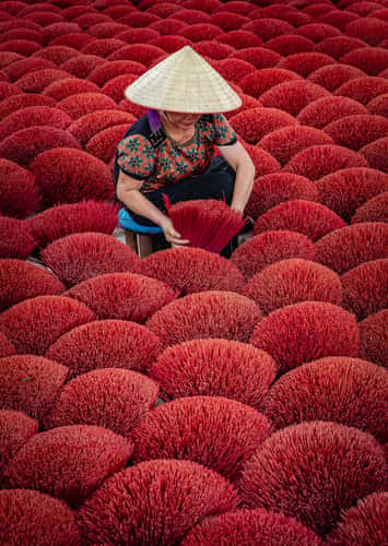 Làng làm hương đỏ