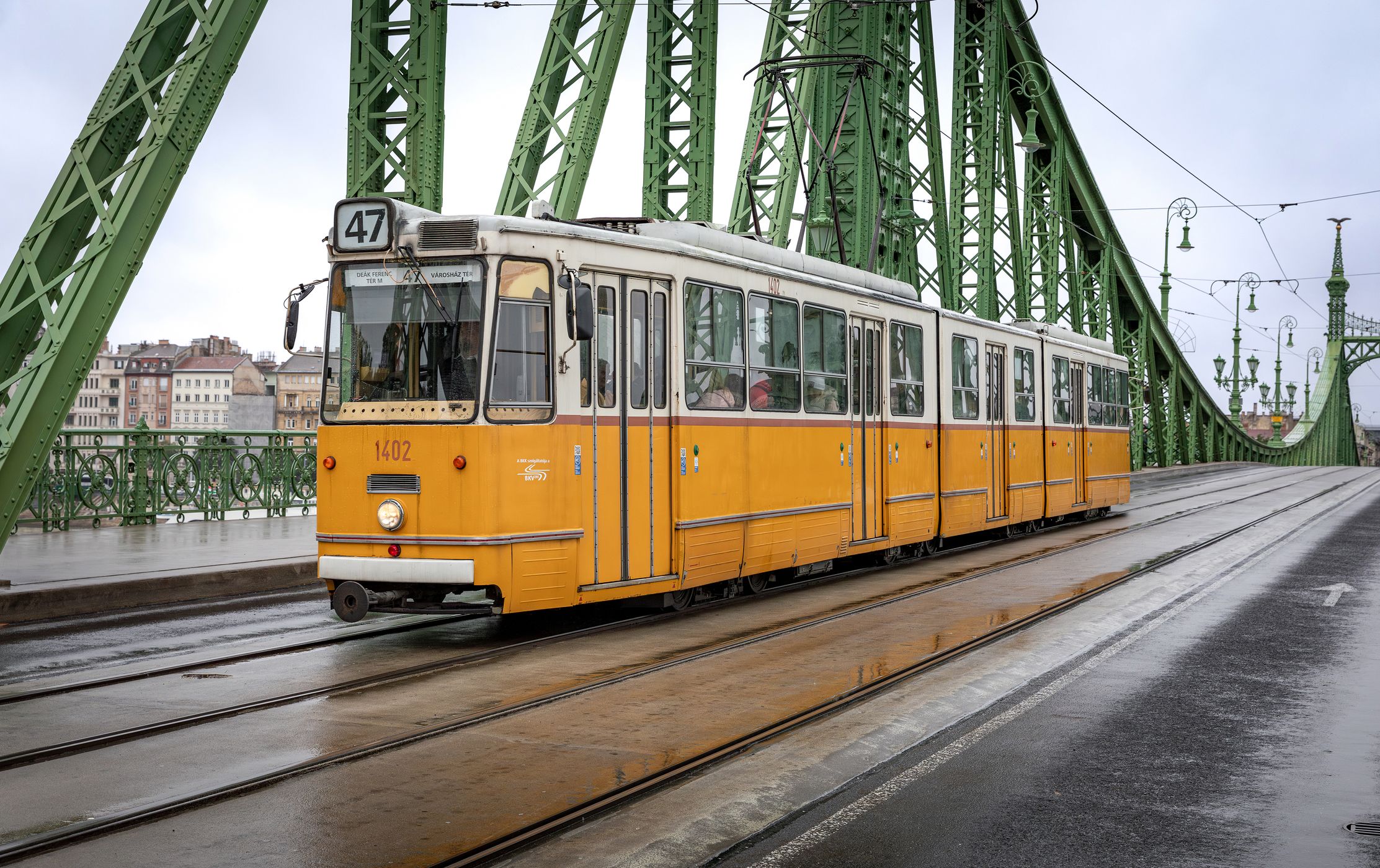 Liberty Bridge, Budapest, Hungary
