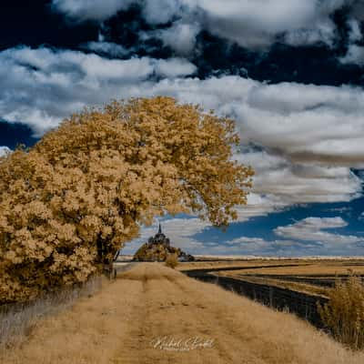 Mont Saint-Michel and the leaning tree, France