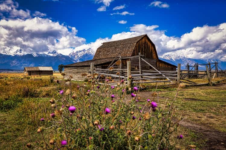 Mormon Settlement Barn