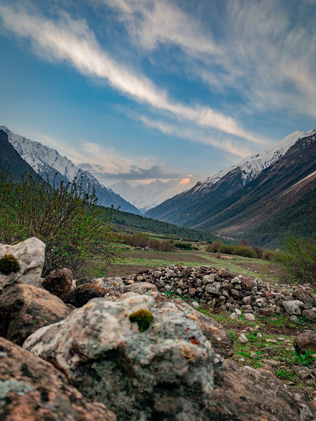 Nabhi Village, India