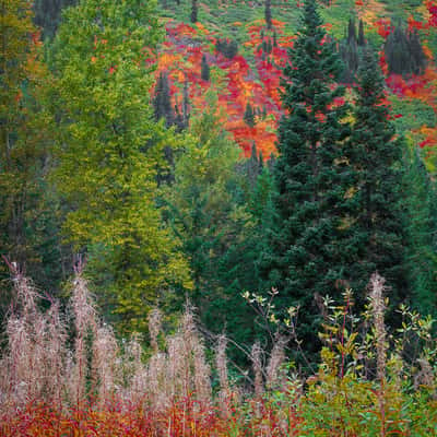 North of Stevens Pass, USA