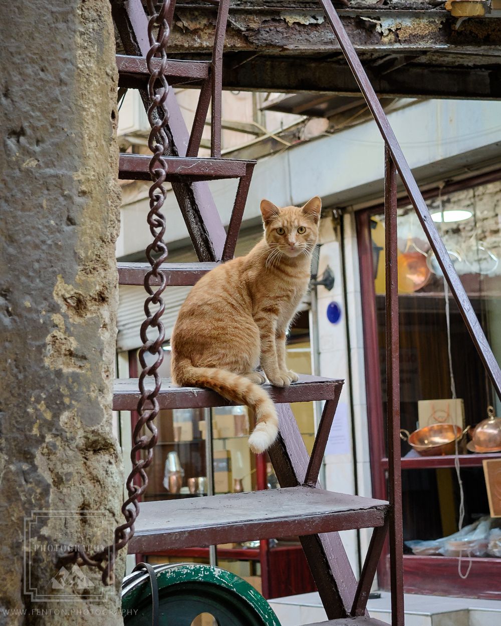 Off the beaten path - Turkey, Turkey (Türkiye)
