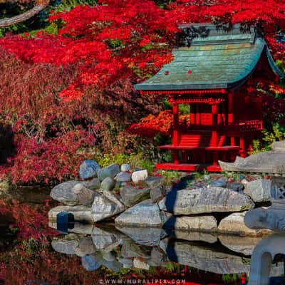 Pagoda @ Point Defiance Park, USA