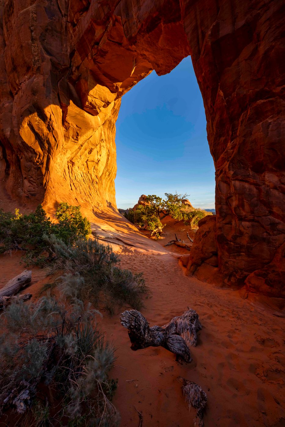 Pine Tree Arch, Arches National Park, Moab, Utah, USA