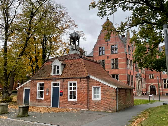 Pingelhus Aurich