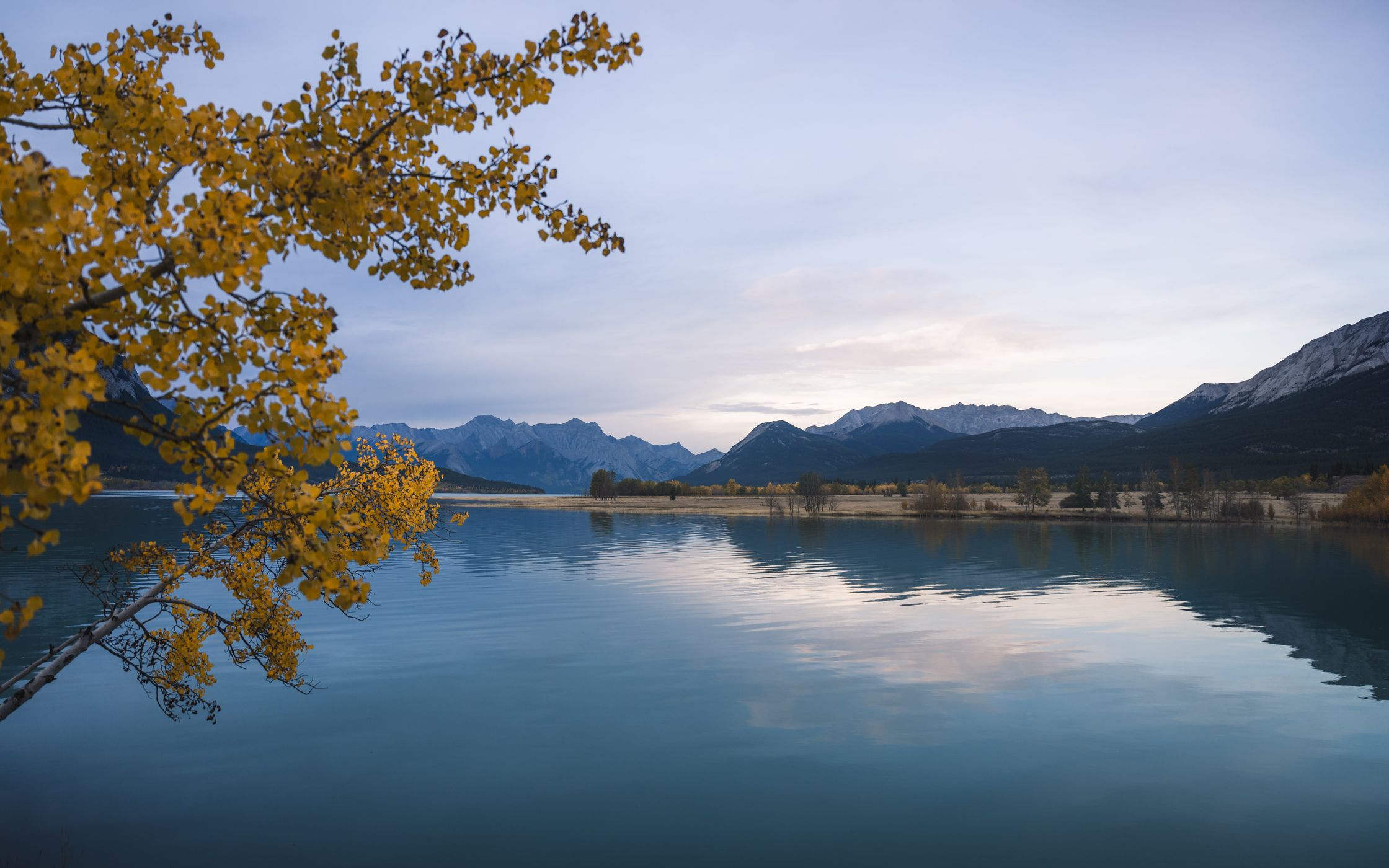 Preachers Point Rustic Camping Area, Abraham Lake, Canada
