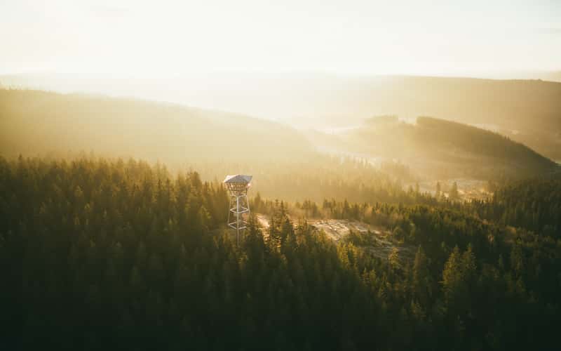 Riesenbühlturm, Schwarzwald