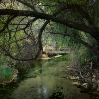 RUTA BOTANICA RIO EBRON, Spain