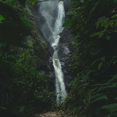 salto de bordones, Colombia