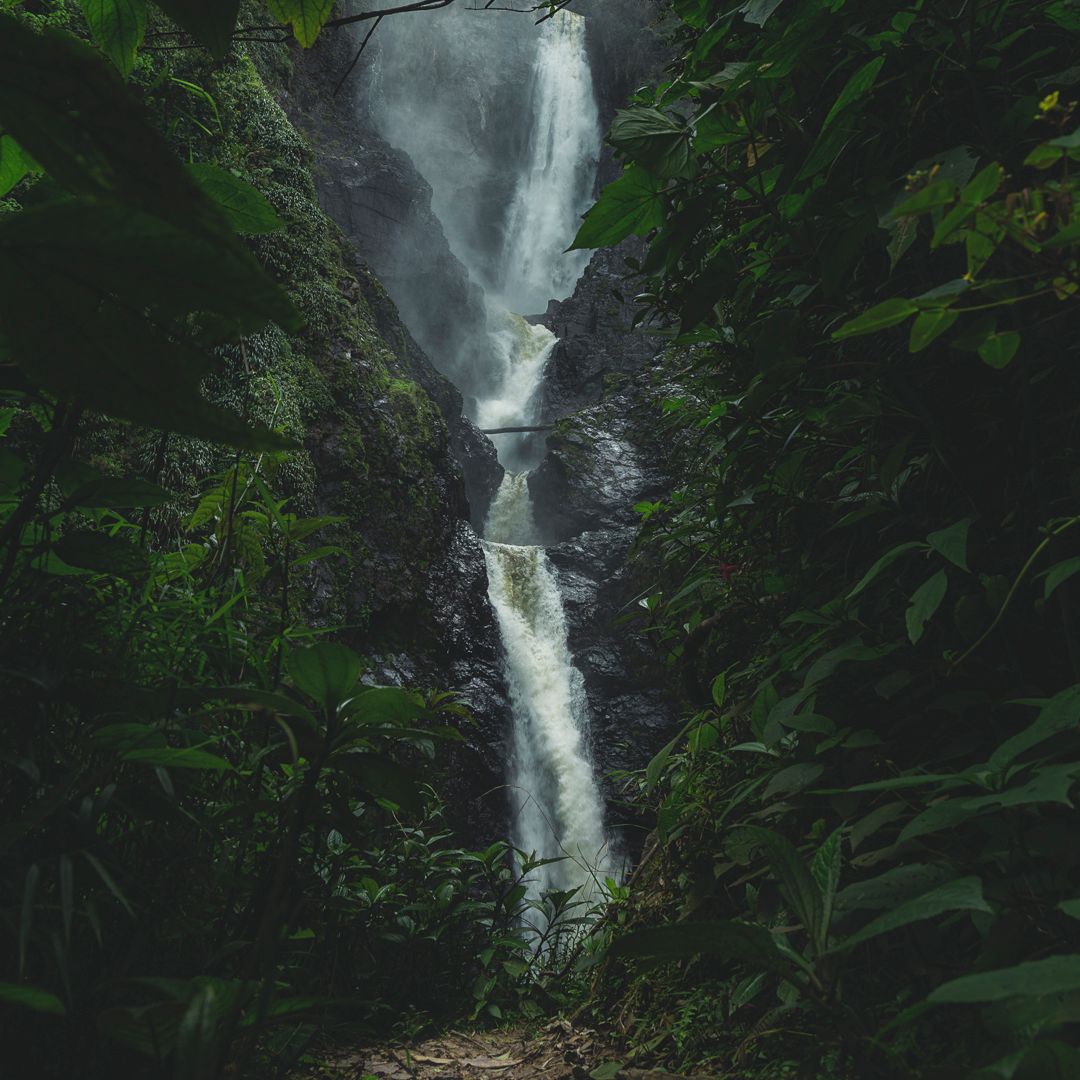 salto de bordones, Colombia
