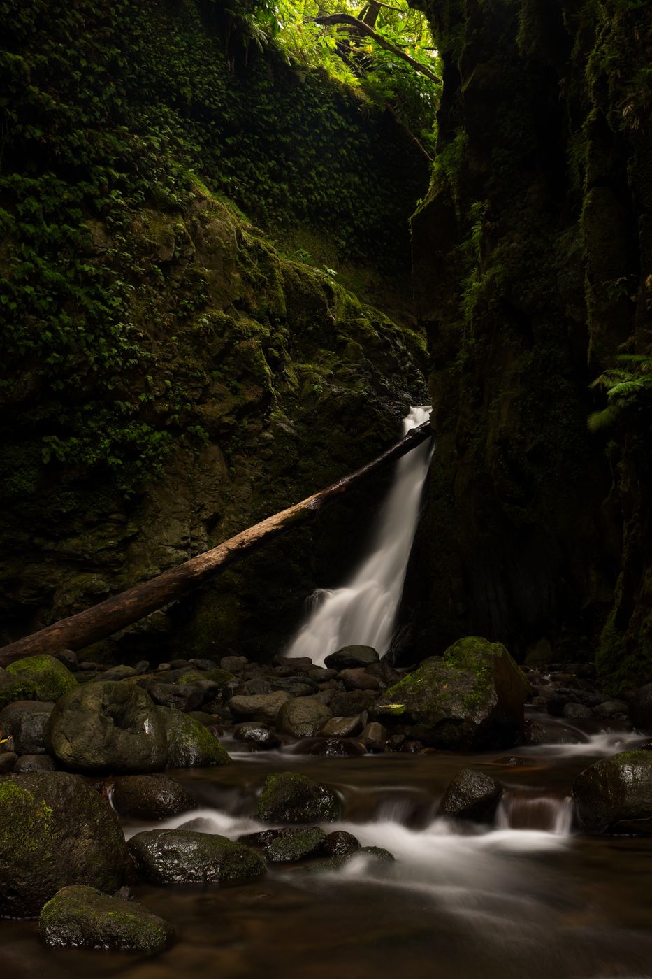 Salto do Cagarrão, Portugal