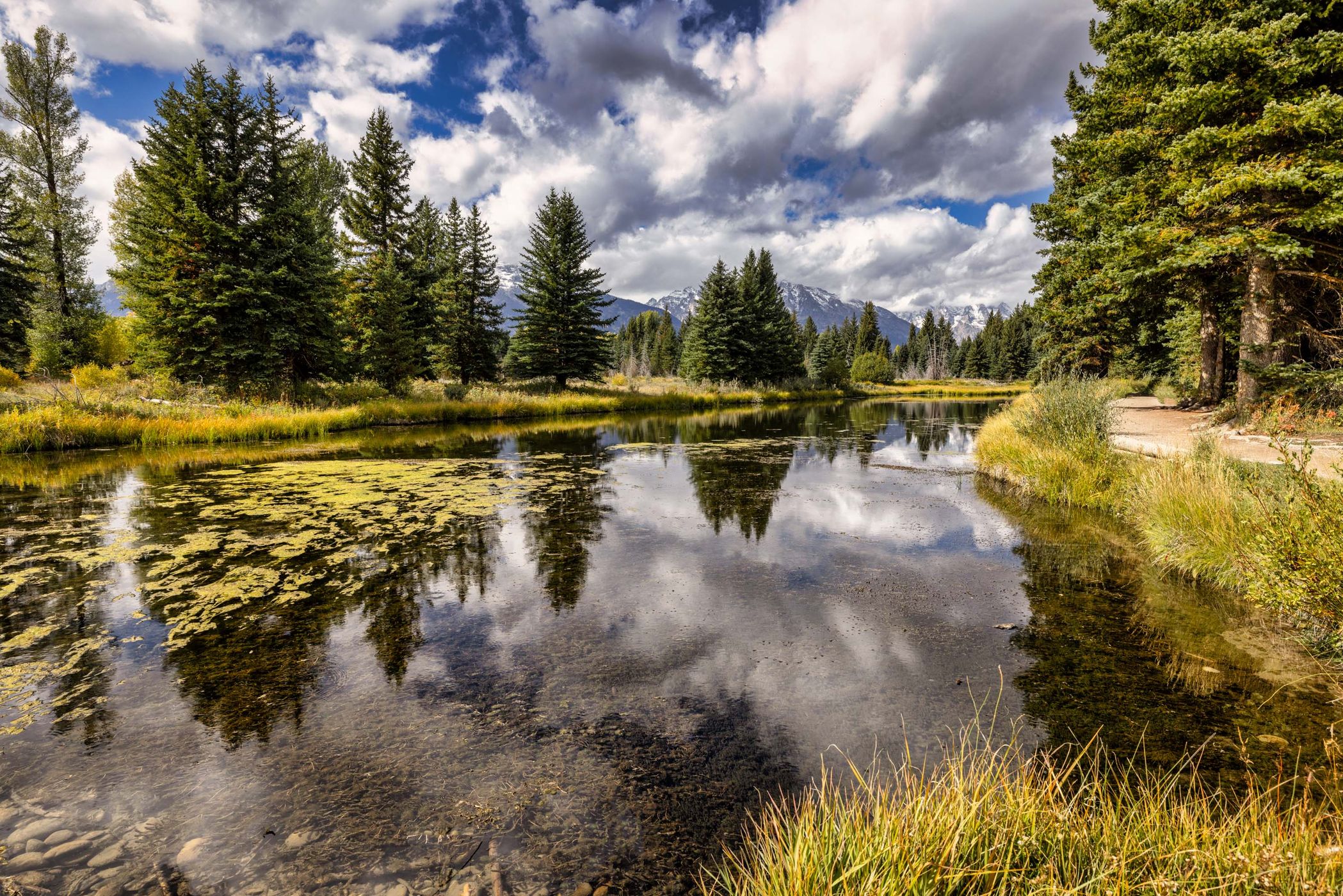 Schwabacher Landing, Teton Park, Wyoming, USA