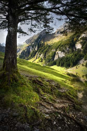 Seealpsee