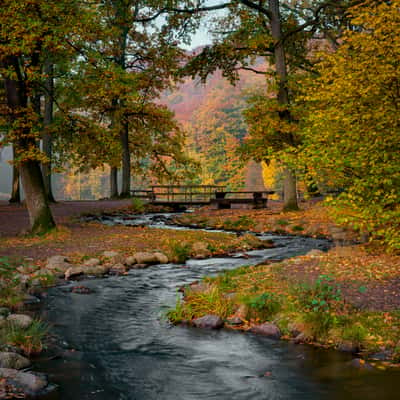 Skäralidsdammen, Sweden