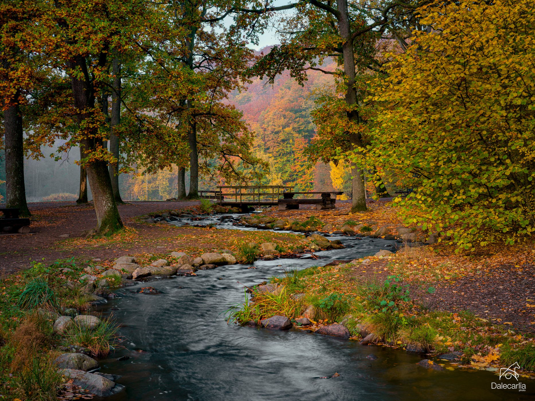 Skäralidsdammen, Sweden