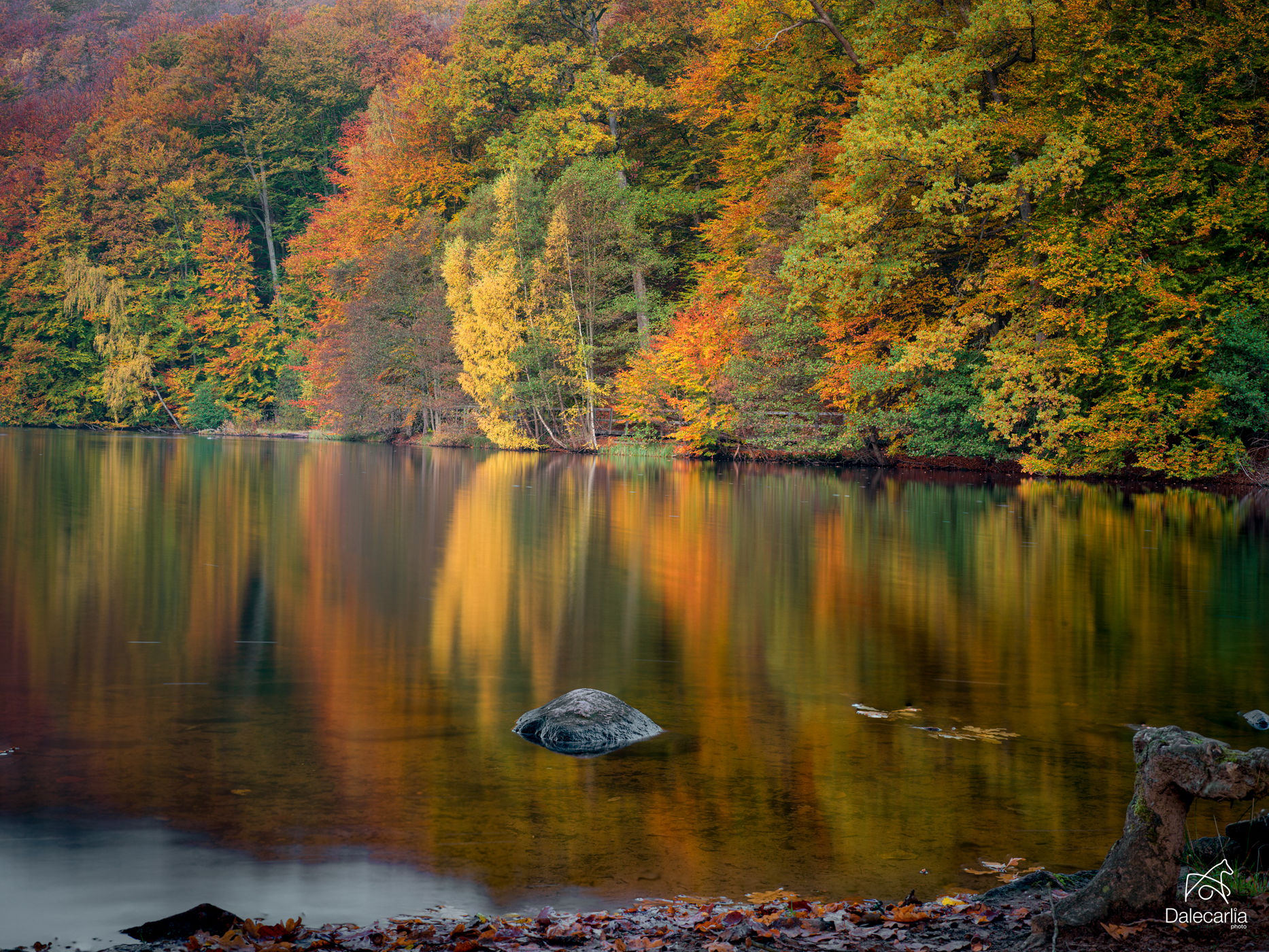 Skäralidsdammen, Sweden