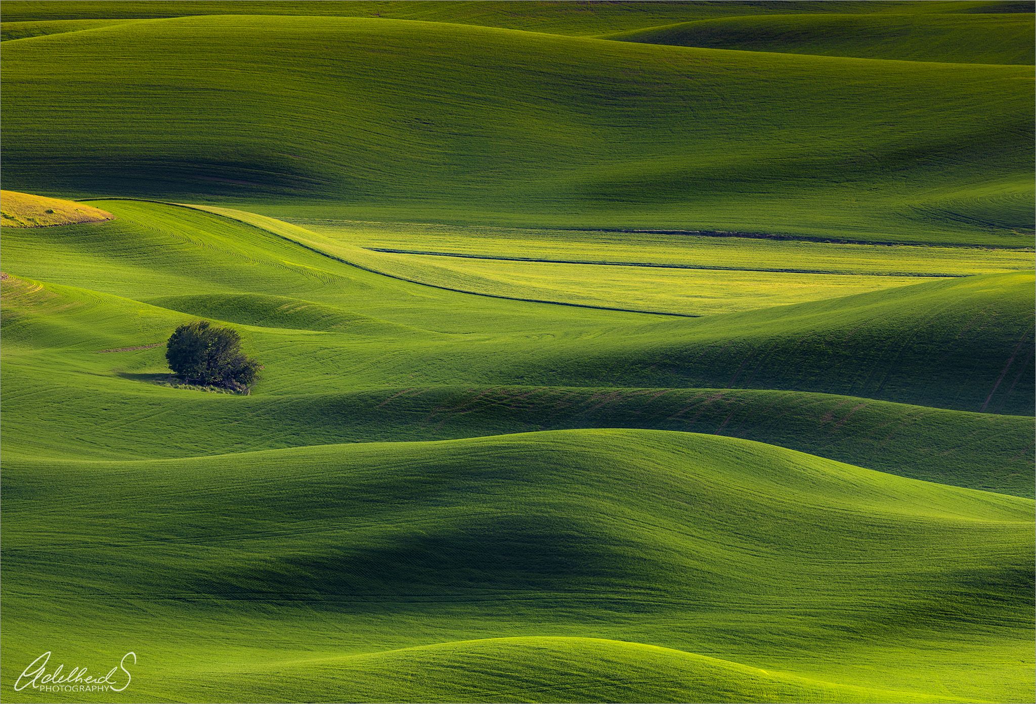 Steptoe Butte, Spokane, WA, USA