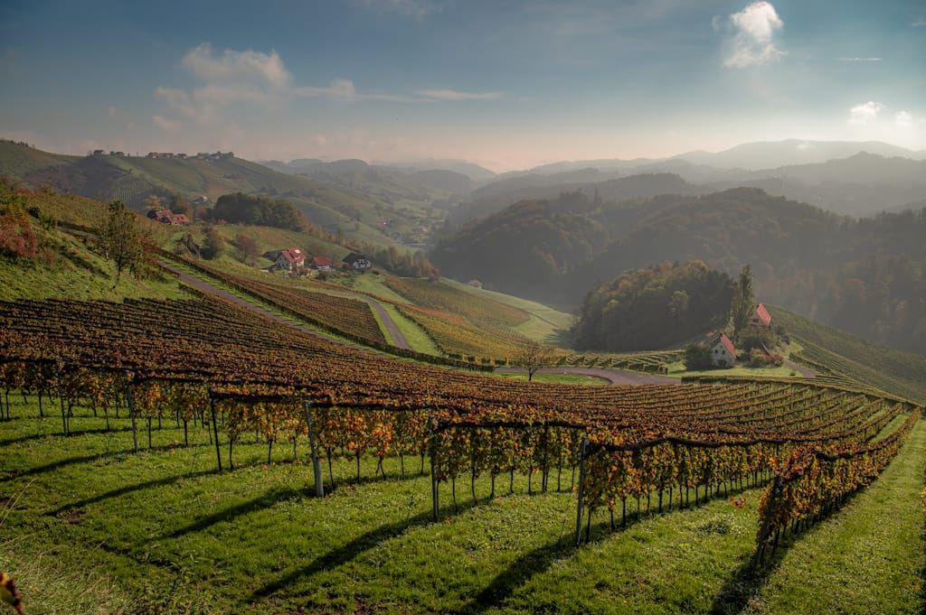 Styrian vineyards, Austria