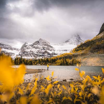 Sunburst Lake, Mount Assiniboine, Canada