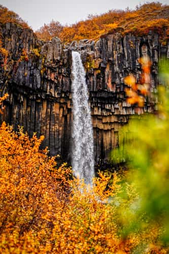 Svartifoss