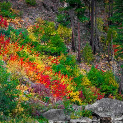 Swift Water Picnic Area, USA