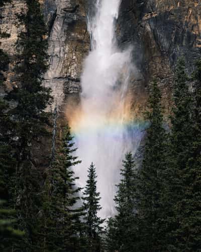 Takakkaw Falls, Hike