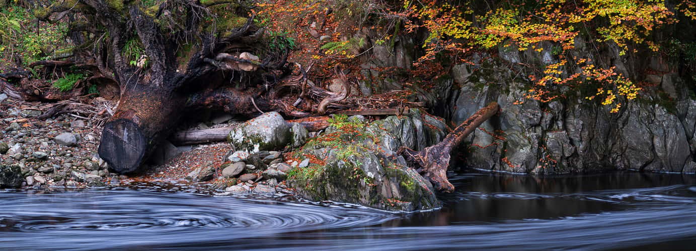 The Hermitage, Dunkeld, Perthshire