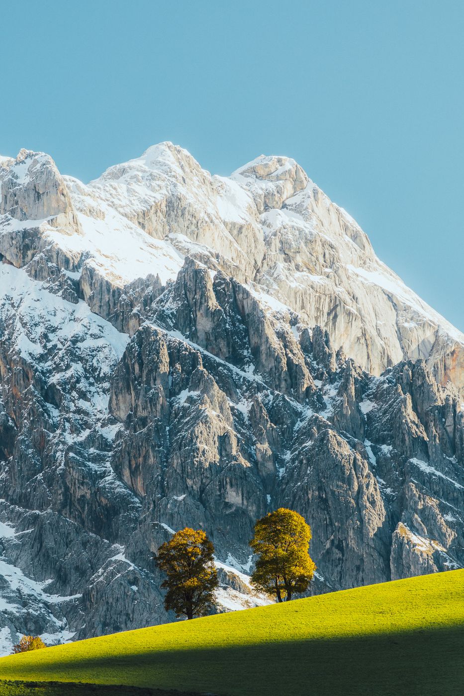 The lonely trees, Austria