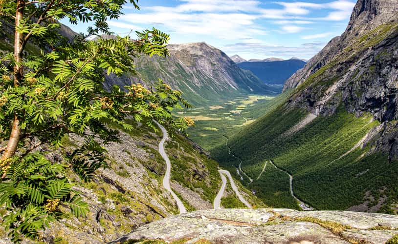 The Trolls Path