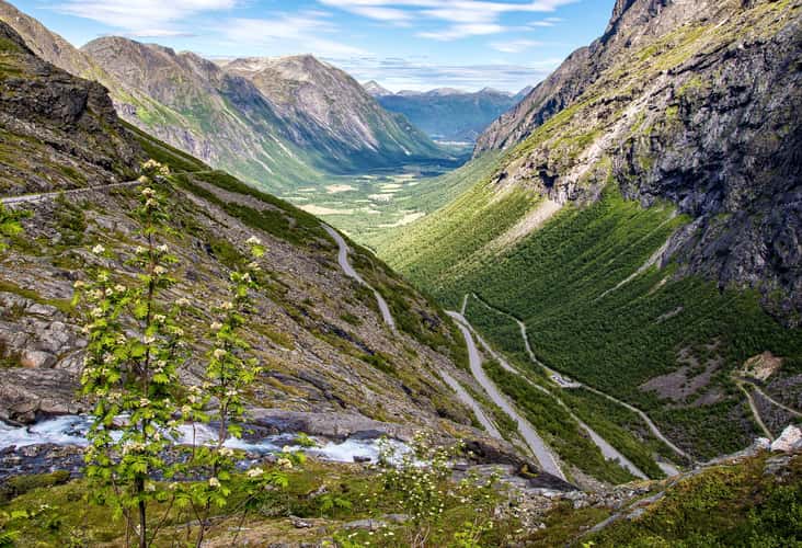 The Trolls Path