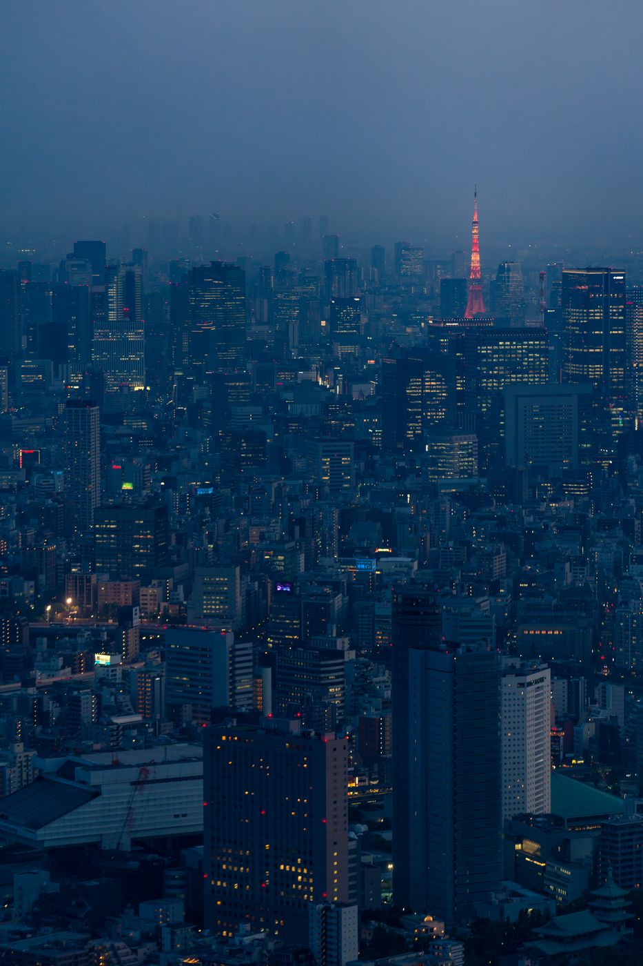 View from Tokyo Skytree, Japan