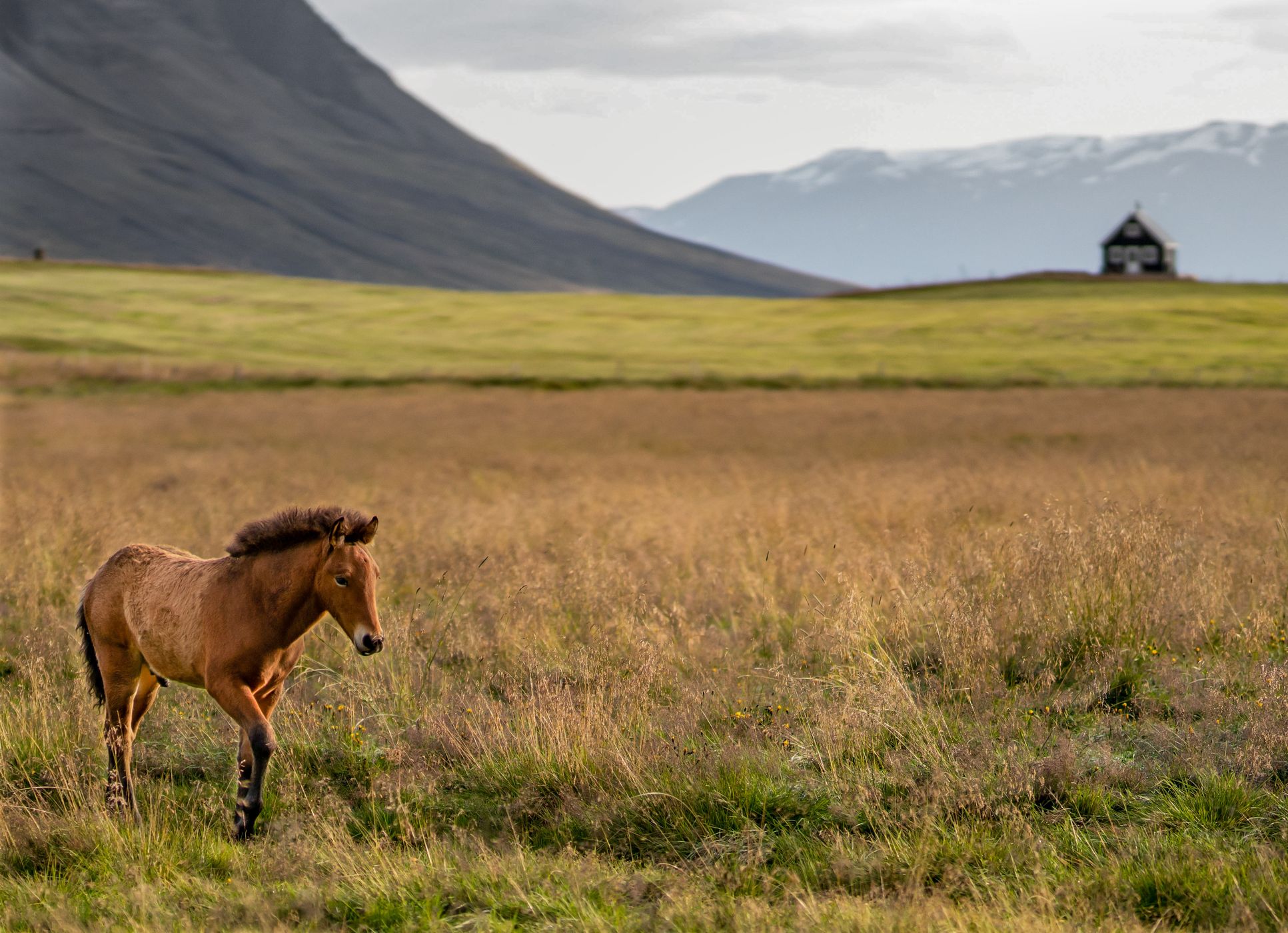 Valley outside of Akureryi, Iceland